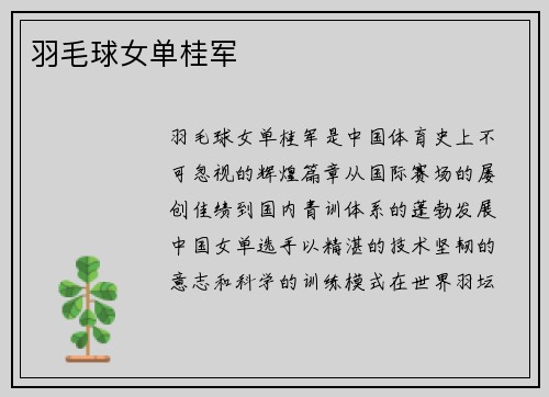 羽毛球女单桂军